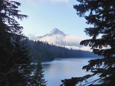 Lost Lake and Mt. Hood, Oregon Northern Attitude, Mt Hood Oregon, Americana Aesthetic, Crunchy Granola, Mt Hood, Life Is Strange, Heaven On Earth, Pretty Places, Lily Of The Valley