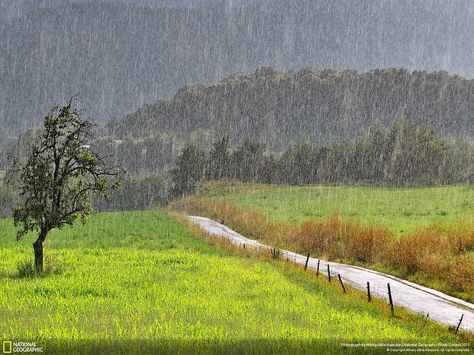 rain green Rain Landscape, National Geographic Photo Contest, Rain And Thunderstorms, I Love Rain, Rain Wallpapers, Rainbow Rain, Rain Storm, Image Nature, Love Rain