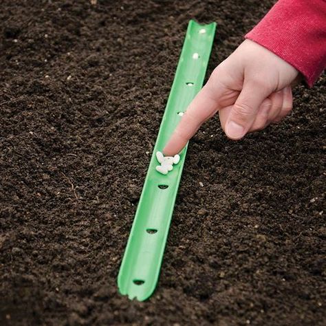 Plot Planner, Seed Spacing, Vegetable Planting Guide, Seedlings Indoors, Vegetable Garden Planner, Garden Kneeler, Garden Services, Garden Planner, Types Of Vegetables