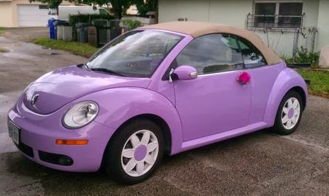 2007 New Beetle Convertible Daisy Rims, Wv Beetle, Vw Beetle Accessories, Volkswagen Vanagon, Vw Beetle Convertible, Slug Bug, Volkswagen Beetle Convertible, Vw New Beetle, Bug Car