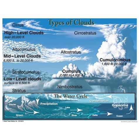 TYPES OF CLOUDS Meteorology Tattoo, Meteorology Aesthetic, Cloud Diagram, Cloud Types, Types Of Clouds, Cloud Type, The Water Cycle, Weather Science, Earth And Space Science