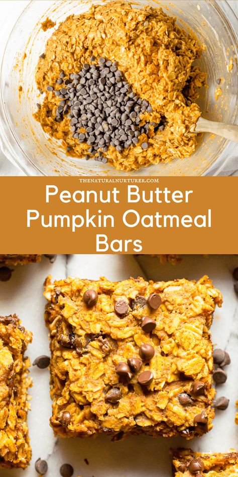 These Peanut Butter Pumpkin Oatmeal Bars are the perfect snack or fun treat! Full of fiber from oats and pumpkin, healthy fats from peanut butter, and perfectly sweetened with a little brown sugar + chocolate chips. These bars are perfect as part of meal prep, made from pantry staples, and are gluten free and dairy-free. Pumpkin Oatmeal Bars Breakfast, Peanut Butter And Pumpkin, Pumpkin Oatmeal Bars Protein, Breakfast Pumpkin Bars, Baked Pumpkin Oatmeal Bars, Peanut Butter Pumpkin Bars, Oat Pumpkin Bars, Healthy Oatmeal Pumpkin Bars, Peanut Butter Oatmeal Breakfast Bars