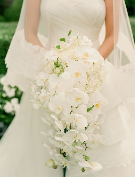 Cascading  Orchid Bouquet Bouquet Orchid, White Orchid Bouquet, Orchid Bridal Bouquets, Orchid Bouquet Wedding, Modern Wedding Bouquets, Cascading Bridal Bouquets, Cascading Wedding Bouquets, Orchid Bouquet, Bridal Bouquet Flowers