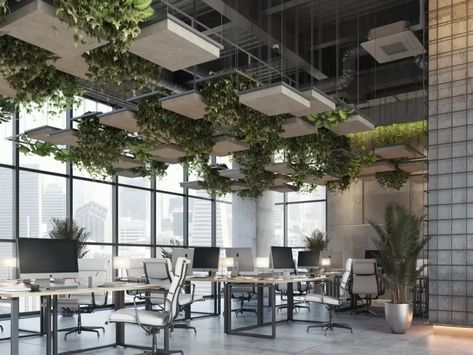 Lanai-Earth-CONTEXT-clouds-suspended-greenery-ceilings-2 Plants Ceiling, Eco Office, Office Ceiling Design, Semester 5, Biophilic Interior, Acoustic Ceiling Panels, Office Ceiling, Grocery Store Design, Open Ceiling