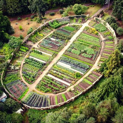 Gravetye Manor, Backyard Escape, Formal Garden Design, Cozy Garden, Permaculture Design, Community Garden, Veg Garden, Garden Oasis, Vegetable Garden Design