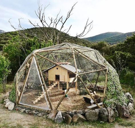 Earth Dome, Building Yourself, Backyard Chicken Farming, Have Inspiration, Remodel Kitchen, Earthship, The South Of France, Kitchen Remodeling, A Chicken