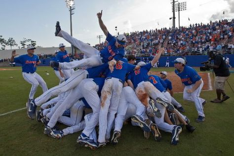 Florida Gators Baseball, Gators Football, Florida Gator, College World Series, Tim Tebow, Lifelong Friends, University Of Florida, Florida Gators, World Series