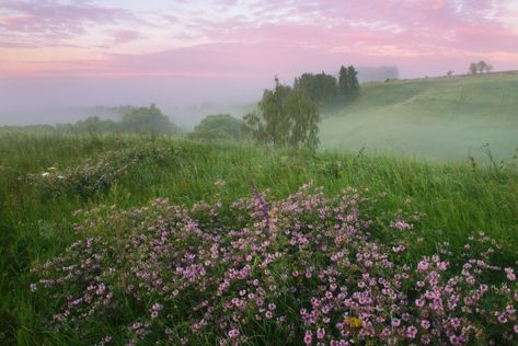 Last Ride, Pretty Landscapes, The Grass, Nature Aesthetic, Pretty Places, Mother Earth, Pretty Pictures, Mother Nature, Beautiful Nature