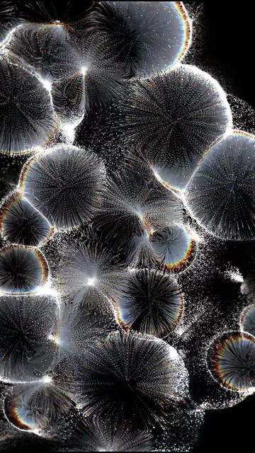 Touch Designer Generative Art, Touchdesigner Art, Organic Technology, Biology Design, Touch Designer, Organic Artwork, State Of Matter, Earth Texture, Art In Motion