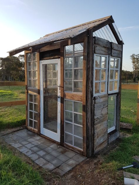 Greenhouse made from old windows and timber pallets 16 windows, 40 deconstructed timber pallets, 4x 2.4m laserlite roofing sheets, some old hardwood fence rails, and lots of screws! Pallet And Window Greenhouse, Small Old Window Greenhouse, Greenhouse Reclaimed Windows, Green House Made From Old Windows, Greenhouse Out Of Pallets, Greenhouses Made From Old Windows, Vintage Window Greenhouse, Old Window Projects For Outdoors, Reclaimed Window Greenhouse