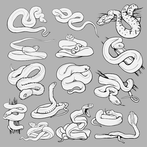 Cobra Illustration, Python Drawing, Snake Sketch, Snake Illustration, Illustration Black And White, Cobra Art, Snake Drawing, Cute Snake, Snake Art