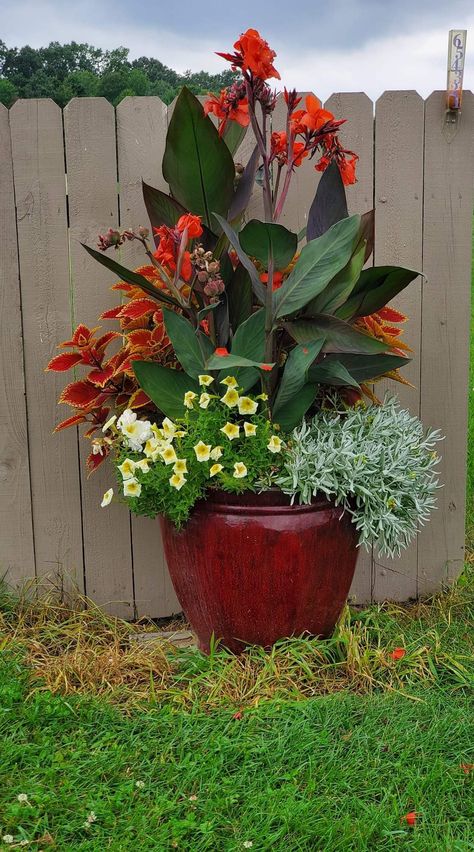 Patio Planter Ideas Plant Pots, Patio Flower Pots, Porch Plants, Patio Flowers, Tropical Garden Design, Container Garden Design, Potted Plants Outdoor, Container Gardening Flowers, Patio Planters