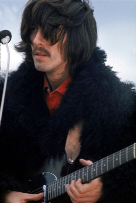 George Harrison 70s, Rosewood Telecaster, Rooftop Concert, Beatles George Harrison, Beatles George, Beatles Love, Beatles Photos, Bug Boy, Beatles Pictures