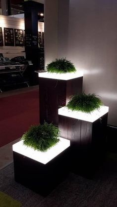 17 Illuminated Planters: How To Make A Glowing Romantic Backyard Illuminated Planters, Outdoor Ambiance, Romantic Backyard, Landscape Lighting Design, Backyard Lighting, Landscape Designs, Landscaping Tips, Camping Ideas, Lighting Ideas