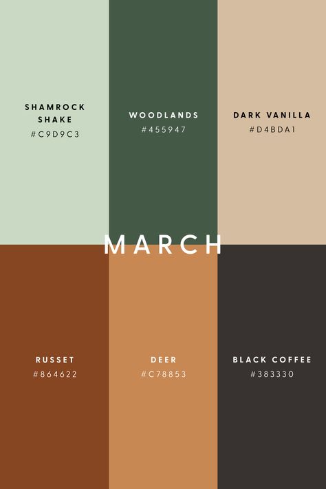 Cozy Colors Palette, Design Ložnic, Color Design Inspiration, Hex Color Palette, Color Schemes Colour Palettes, Warm Colour Palette, Brand Color Palette, Color Palate, Color Palette Design