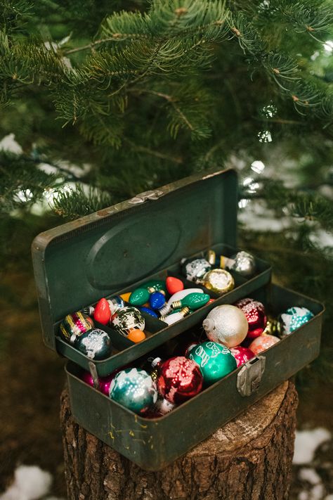 Shiny Brite Christmas ornaments - photo by Alicia King Photography http://ruffledblog.com/christmas-tree-farm-wedding-inspiration-with-tradition Christmas Tree Farm Wedding, Farm Wedding Ideas, Tree Farm Wedding, Shiny Brite Christmas, King Photography, Farm Birthday Party, Tree Shop, Woodland Christmas, Shiny Brite