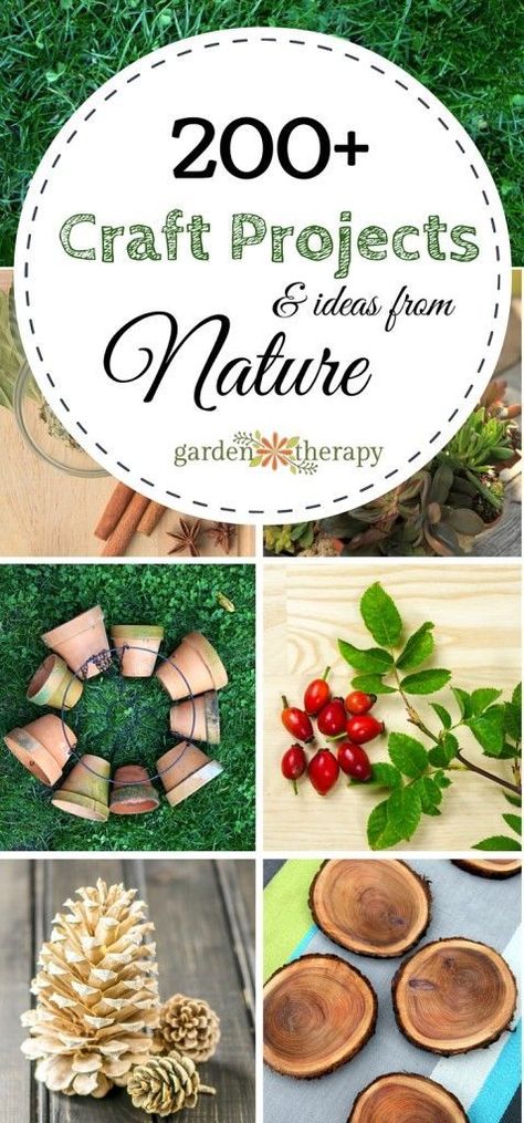 Easy and Beautiful Craft Projects and Ideas from the Garden and Nature Garden Club Craft Ideas, Nature Crafts For Adults Diy, Forest Crafts, Gardening Crafts, Craft Projects For Adults, Garden Therapy, Nature Craft, Plant Crafts, Projects For Adults