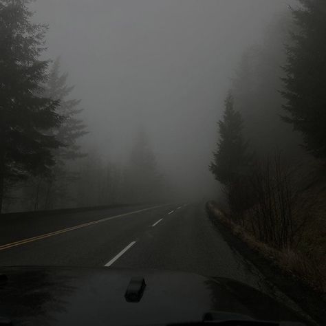 Dark Naturalism, Dark Forest Aesthetic, Rainy Day Aesthetic, Foggy Forest, Dark Nature Aesthetic, Dark Paradise, Gray Aesthetic, The Fog, Night Aesthetic