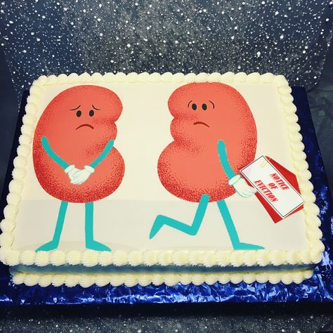 Kidney Cake Ideas, Kidney Cake, Transplant Party, Kidney Donation, Kidney Donor, Donate Life, Medical School Inspiration, Kidney Health, School Inspiration