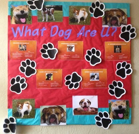 What Dog are U? Veterinarian Poster Board Project, Veterinarian Bulletin Board Ideas, Dog Bulletin Board, Paw Ideas, Big Brother Pregnancy Announcement, Student Crafts, Office Board, Doggy Daycare, Resident Adviser