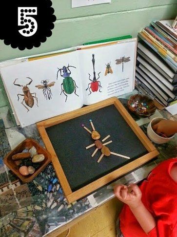 Preschool Nature Theme Classroom, Bug Activity, Build A Bug, Bug Activities, Insects Preschool, Bugs Preschool, Reggio Inspired Classrooms, Insect Activities, Reggio Classroom