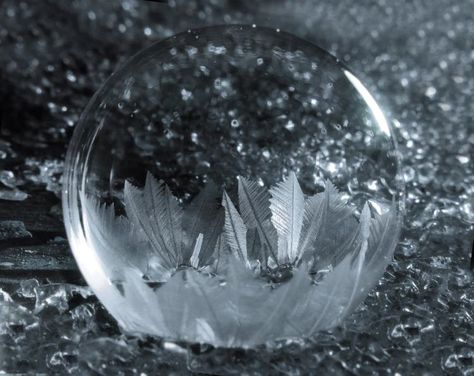 Photos of Frozen Soap Bubbles by Cheryl Johnson Ice Bubble, Frozen Bubbles, Crystal Photography, Snow Images, Freezing Weather, Snow Crystal, Freezing Cold, Snow Flakes, Ice Crystals