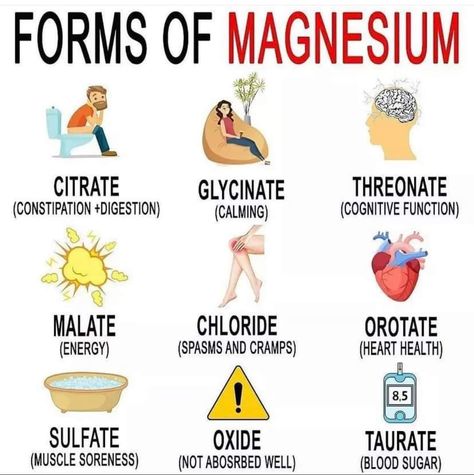 Forms Of Magnesium, Types Of Magnesium, Best Magnesium, Vitamin A Foods, Nerve Health, Brain Facts, Magnesium Citrate, Magnesium Benefits, Health Heal