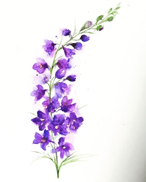 Colourful Floral Tattoo, Larkspur Tattoo Watercolor, Coloured Flowers Tattoo, Larkspur Flower Painting, Larkspur Flower Tattoo Color, Water Colour Flower Tattoos, Larkspur Tattoo Color, Larkspur Flower Watercolor, Larkspur Flower Tattoo Design