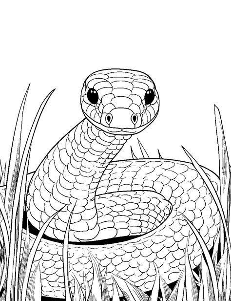 Snake in the Grass: A fierce snake steadily waiting in tall grass for its prey to come. (Free Printable Coloring Page for Kids) Snake Coloring Pages, Snake In The Grass, Frog Coloring Pages, Cute Snake, Butterfly Printable, Horse Coloring Pages, Thanksgiving Coloring Pages, Dog Coloring Page, Dinosaur Coloring Pages