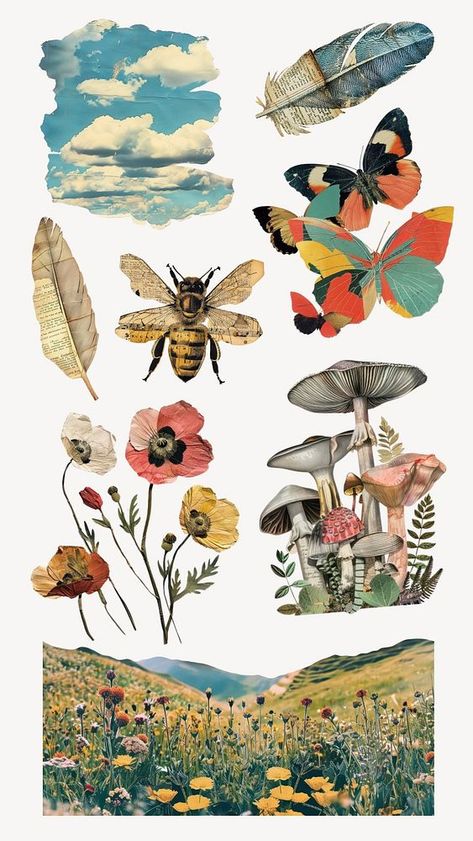 Nature craft collage set, editable design | premium image by rawpixel.com / Nunny Collage Art Template, Bee Collage, Inspo Collage, Insects Art, Collage Nature, Garden Collage, Animal Collage, Paper Clouds, Nature Craft