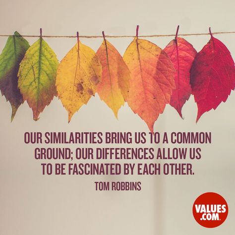 “Our similarities bring us to a common ground; our differences allow us to be fascinated by each other.” —Tom Robbins | PassItOn.com Diversity Quotes Inspiration, Inclusion Quotes, Diversity Quotes, Tom Robbins, Lunar Phases, Tuesday Quotes, Quote Artwork, Common Ground, Morning Messages