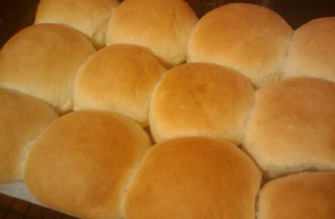 Only a Trini would know the difference between a dinner roll and a hops bread! Hops Bread Recipe, Trinidadian Food, Trini Recipes, Trinidad Food, Trinidadian Recipes, Rolls Bread, Trinidad Recipes, Homemade Buns, Trini Food