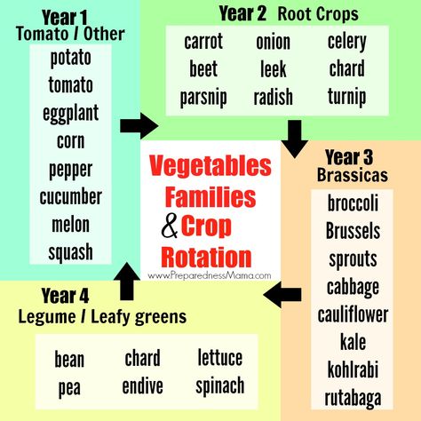 Garden Crop Rotation, Growing Tomatoes In Containers, Victory Garden, Crop Rotation, Garden Plans, Veg Garden, Square Foot Gardening, Growing Tomatoes, Food Garden