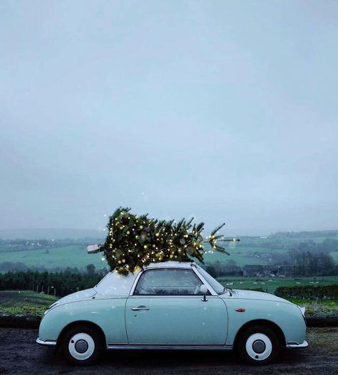 One Horse Open Sleigh, Driving Home For Christmas, Harry Potter Poster, Wallpaper Winter, Happy December, Winter Szenen, Christmas Car, 12 December, Christmas Tree Farm