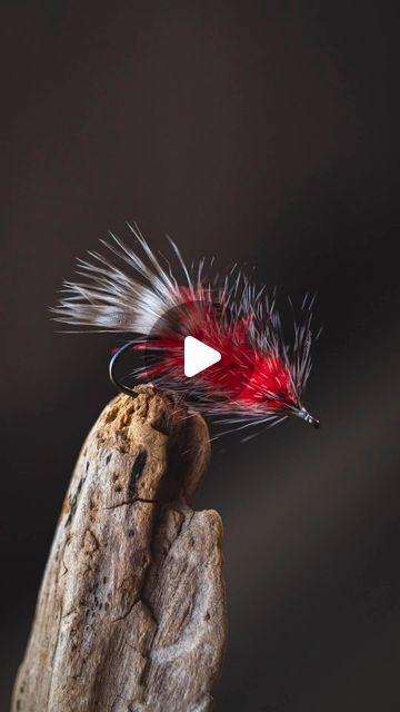 Best Trout Flies, Steelhead Trout, Steelhead Flies, Trout Flies, Fly Tying Patterns, Trout Fishing, Fly Tying, Fly Fishing, Fishing