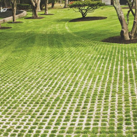 Grass Pavers Driveway, Concrete Paths, Grass Paving, Driveway Materials, Grass Driveway, Permeable Driveway, Grass Pavers, Permeable Paving, Permeable Pavers