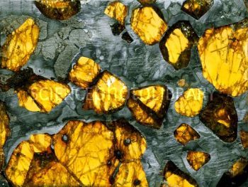 Pallasite meteorite Meteor Rocks, Pallasite Meteorite, Concept Inspiration, Rocks And Fossils, Under The Rainbow, Iron Meteorite, Space Facts, Geology Rocks, Break Up