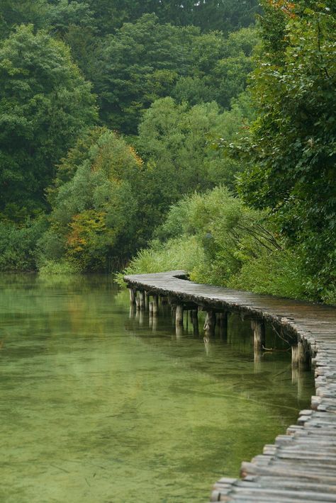 Along the Lake Wood Cabins, Trip Planner, Green House, Garden Cottage, Nature Aesthetic, Pretty Places, Beautiful World, Secret Garden, In The Middle