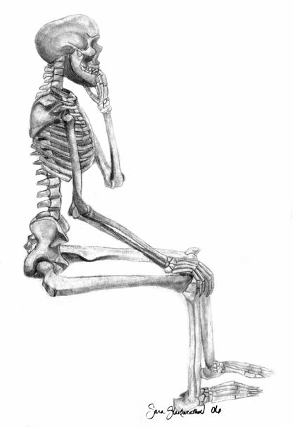 Sitting Skeleton, Skeleton Sitting, Skeleton Drawing, Skeleton Drawings, Structural Analysis, Human Skeleton, Diy Tattoo, Ap Art, Drawing Techniques