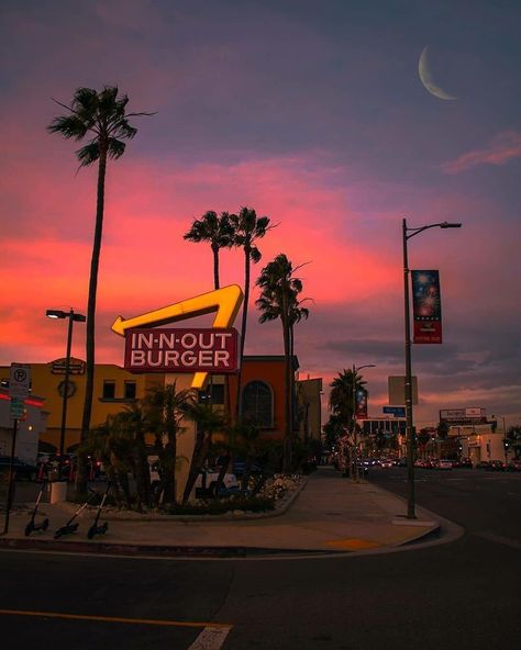 Neon Los Angeles, America Asethic, California Dreaming Aesthetic, Downtown La Aesthetic, California Sunrise, Being Understood, Brad Meltzer, Life In Usa, La Aesthetic