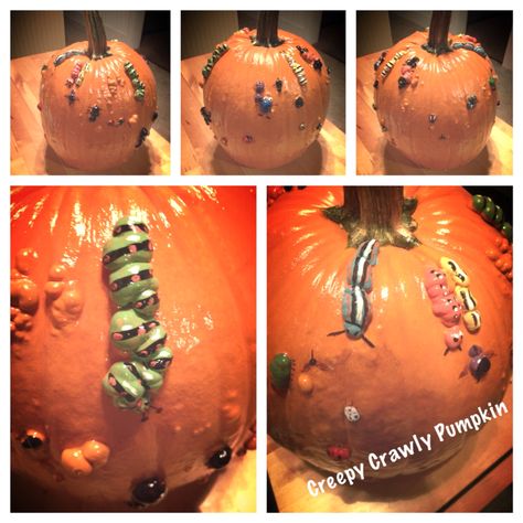 Great idea for those lumpy pumpkins!! // My creepy crawly painted pumpkin! Painted Warty Pumpkins, Bumpy Pumpkin Painting Ideas, Bumpy Pumpkins, Bumpy Pumpkin, Puking Pumpkin, Pumpkins Carving, Halloween Pumpkin Crafts, Cute Pumpkin Carving, Painted Things