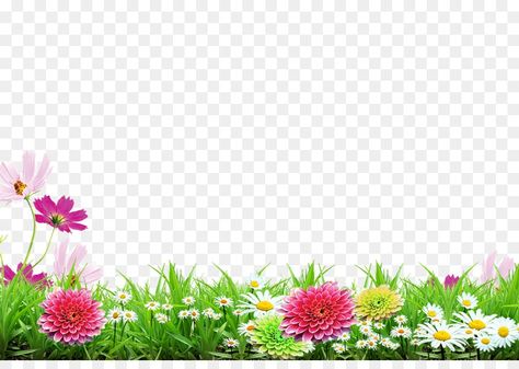 Wallpaper Edgy, Flower Border Png, Flowers Transparent, Flower Png Images, Background Retro, Photoshop Backgrounds Backdrops, Wallpaper Homescreen, Illustration Wallpaper, Photoshop Backgrounds Free