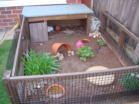 Tortoise Protection Group Members Forum - Tortoise Protection Group Tortoise Enclosure Outdoor, Diy Tortoise Enclosure, Tartaruga Habitat, Outdoor Tortoise Enclosure, Turtle Enclosure, Russian Tortoise Diet, Red Footed Tortoise, Outdoor Enclosure, Turtle Homes