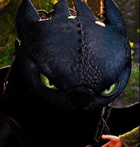 Toothless looks like he's gonna kill Astrid Angry Toothless, Toothless Icon, Toothless Pfp, Toothless Eyes, Httyd Toothless, Toothless Httyd, Toothless Night Fury, Night Fury Dragon, Httyd Art