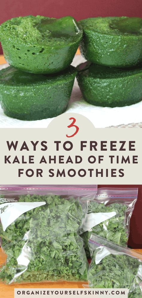 How To Freeze Kale, Meal Prep Smoothies, Prep Smoothies, Smoothies Easy, Easy Meal Prep Recipes, Kale Smoothie Recipes, Freezing Kale, Freezer Smoothie Packs, Freezer Smoothies