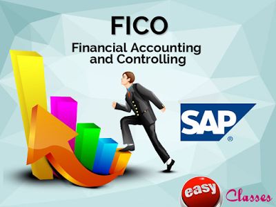 Sap Fico, Practical Knowledge, Winter Training, Training Design, Computer Class, Finishing School, Erp System, Financial Accounting, Business Analyst