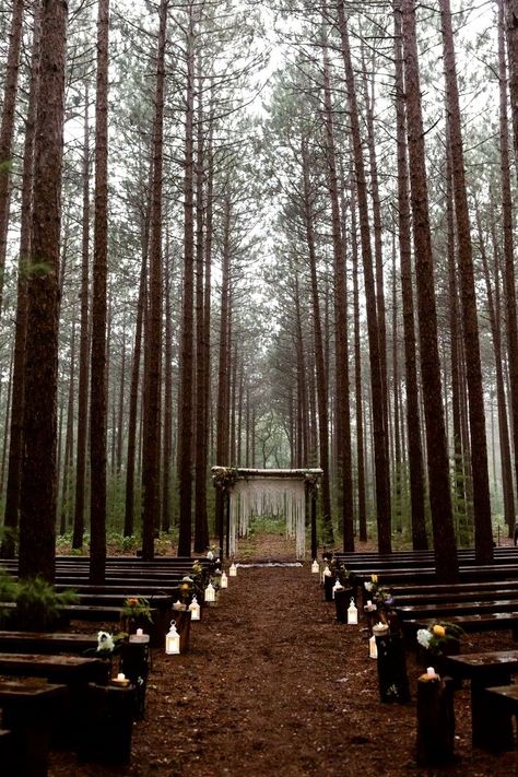 Burlap Wedding Aisle, Pine Tree Wedding Ceremony, Twilight Forest Wedding, Wedding Ideas Forest Green, Outside Forest Wedding, Forest Aesthetic Wedding, Wedding In The Woods Forests, Twilight Wedding Aesthetic, Twilight Inspired Wedding