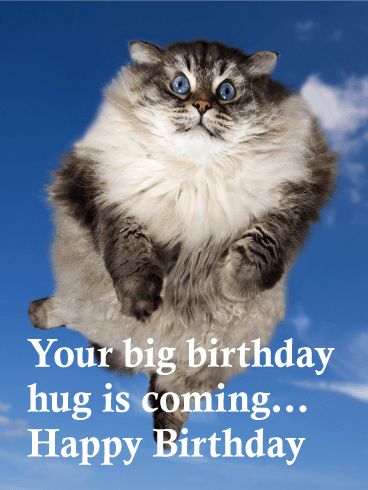 Big Birthday Hug is Coming! Funny Birthday Card Funny Birthday Pictures, Cat Birthday Cards Funny, Happy Birthday Uncle, Funny Happy Birthday Images, Happy Birthday Typography, Happy Birthday Cat, Birthday Hug, Funny Happy Birthday Wishes, Birthday Wishes Flowers