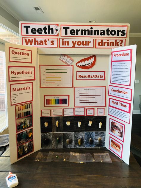 Teeth Terminators: The effects of acid and sugar on teeth. Science fair project Winning Science Fair Projects, Science Fair Display Board, Science Fair Poster, Science Project Board, Kids Science Fair Projects, Easy Science Fair Projects, Science Fair Project Ideas, Elementary Science Fair Projects, Fair Project Ideas