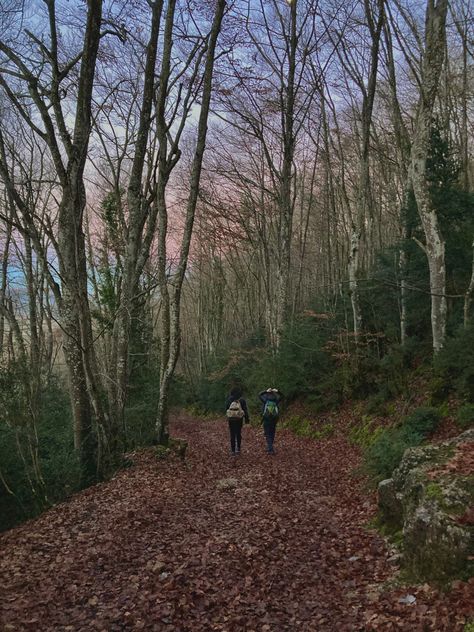 #walking #nature #woods #aesthetic #sunset #green #friendship #hiking Running For Your Life Aesthetic, Walking Through The Woods, Walk In The Woods Aesthetic, Walking In The Woods Aesthetic, Chaos Walking Aesthetic, Walk In Nature Aesthetic, Long Walks Aesthetic, Mischief Night, Head Aesthetic